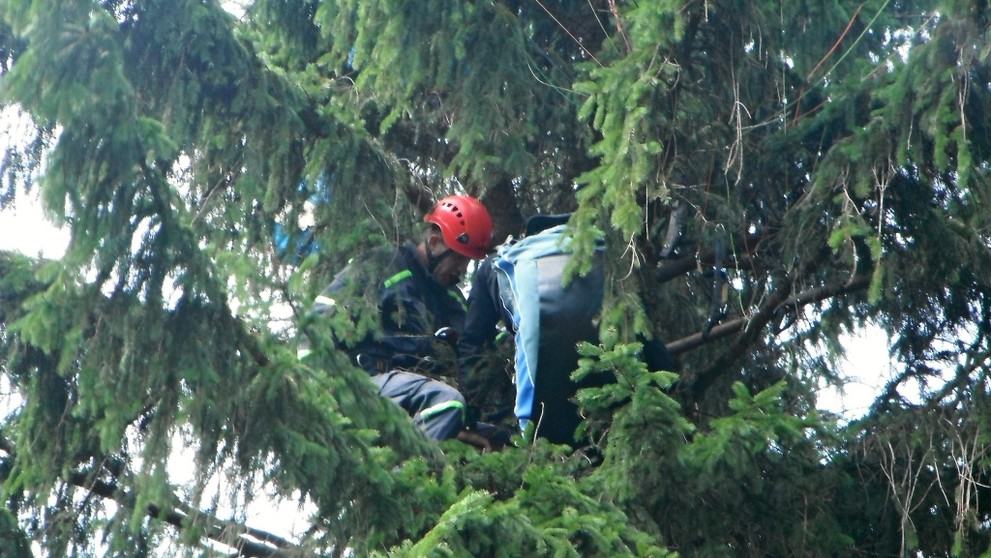 Paraglidista uvízl v koruně stromu