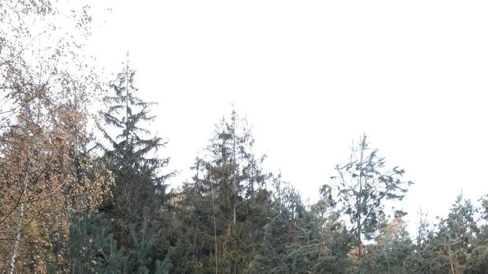 Záchrana zraněného turisty v Českém ráji