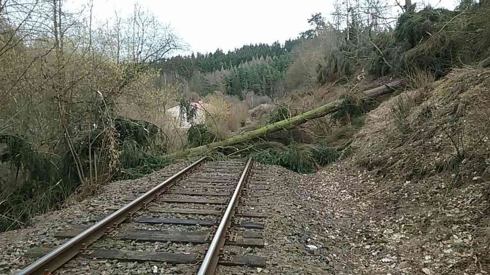 Náraz vlaku do stromu - 2