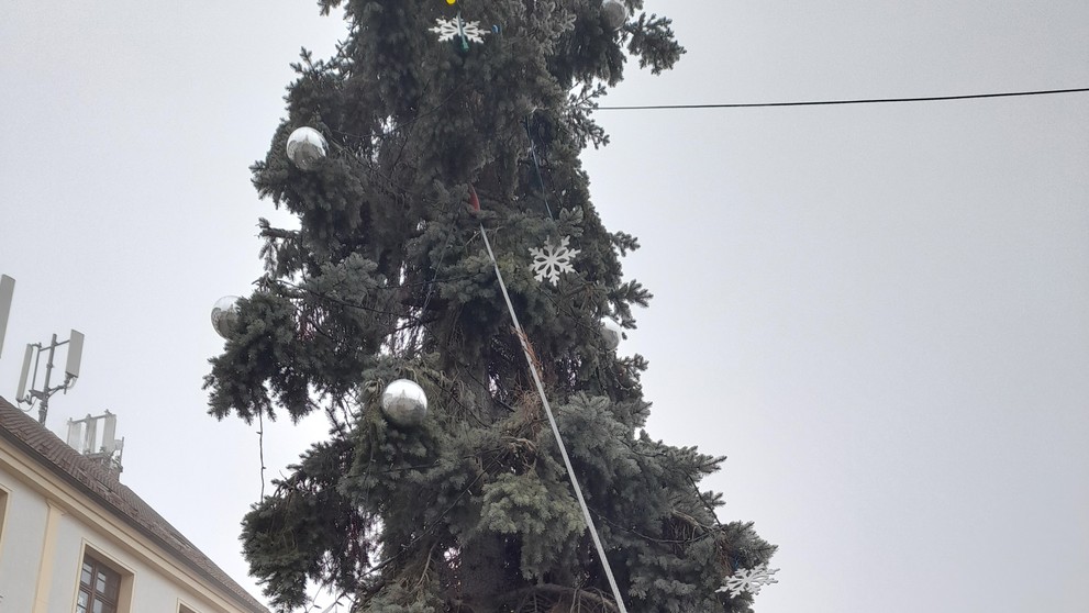 KŘIVÝ VÁNOČNÍ STROM - 2