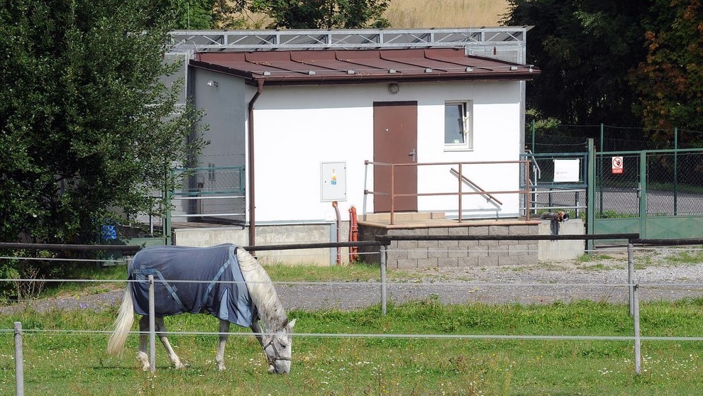 Koně Pancové a Kotta - 9