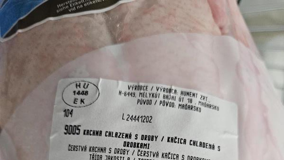 Zdraví nebezpečná kachna (2)