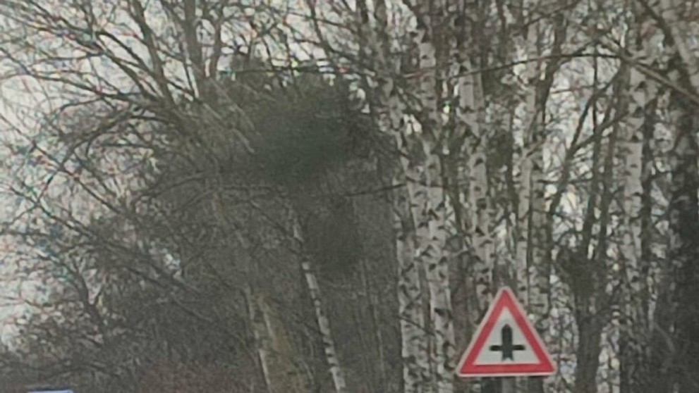 Řidič nadýchal 2,5 promile