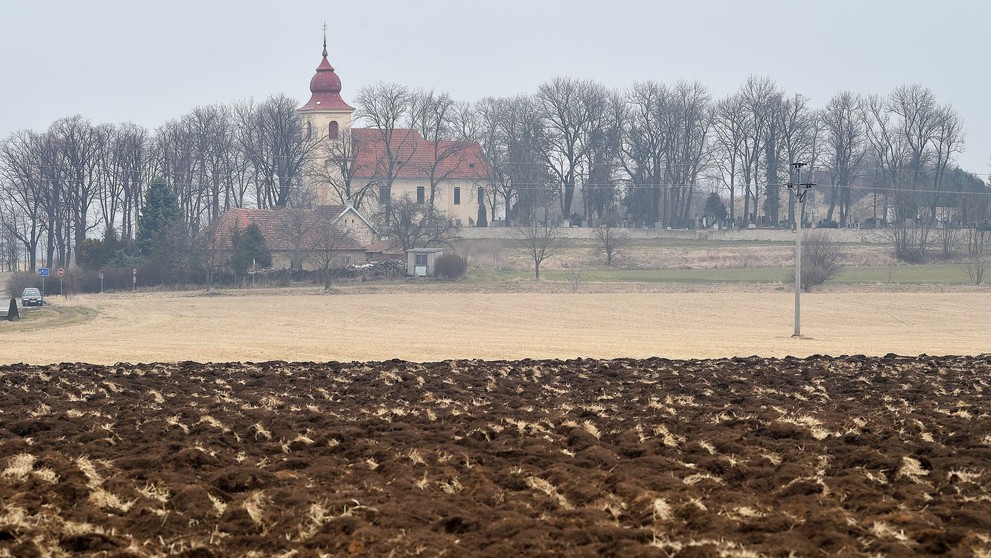 Noutonický hřbitov - 5