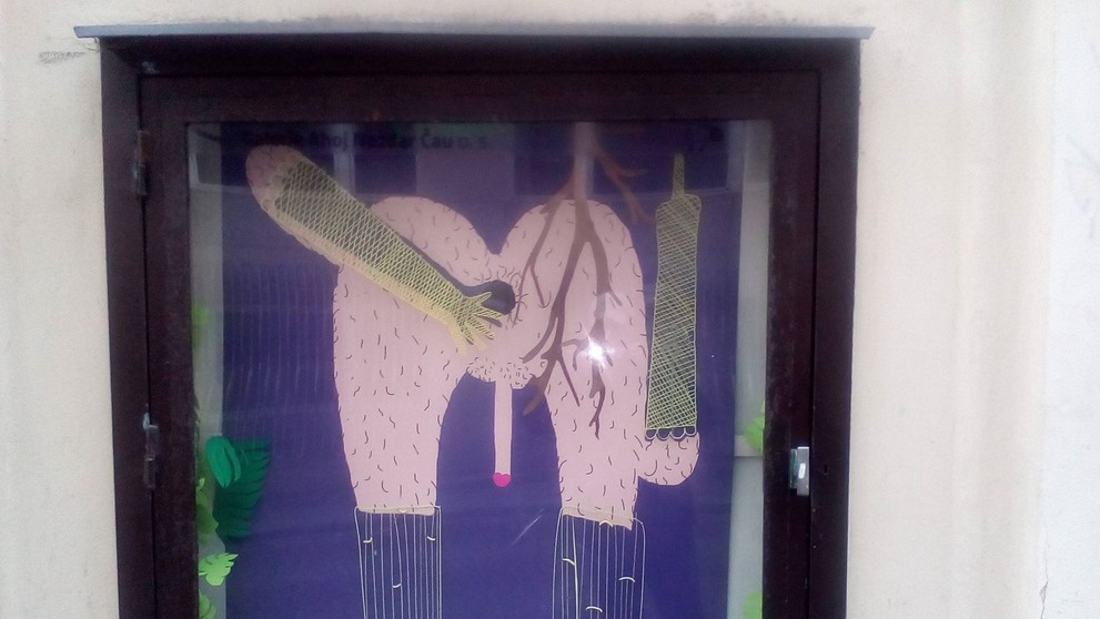 Výstava Herpés
