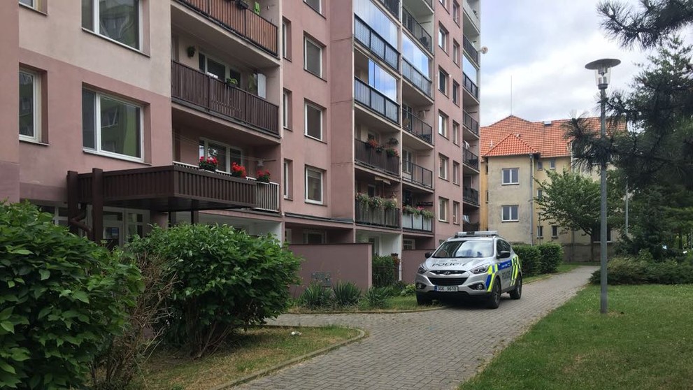 Smrt dítěte v Čelákovicích 2