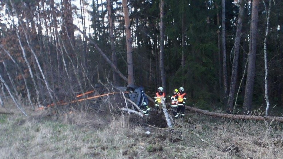 Auto vyletělo z dálnice do lesa
