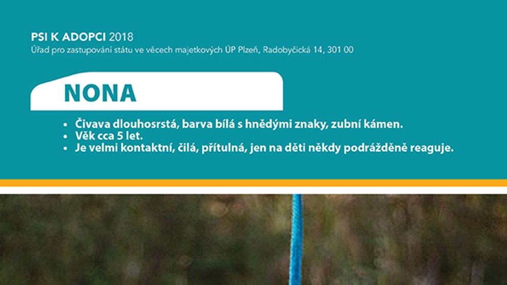 Pejsek k adopci
