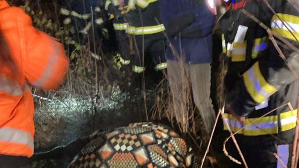 Záchrana koně z betonového koryta šachty v Hudcově (4)