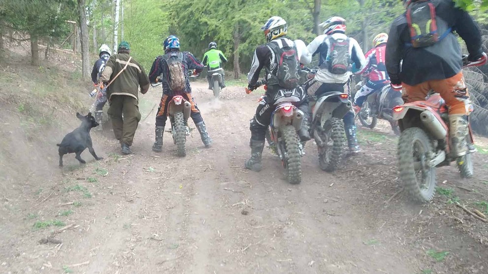 Skupina motorkářů napadla v lese poblíž Sentic lesní dělníky - 3