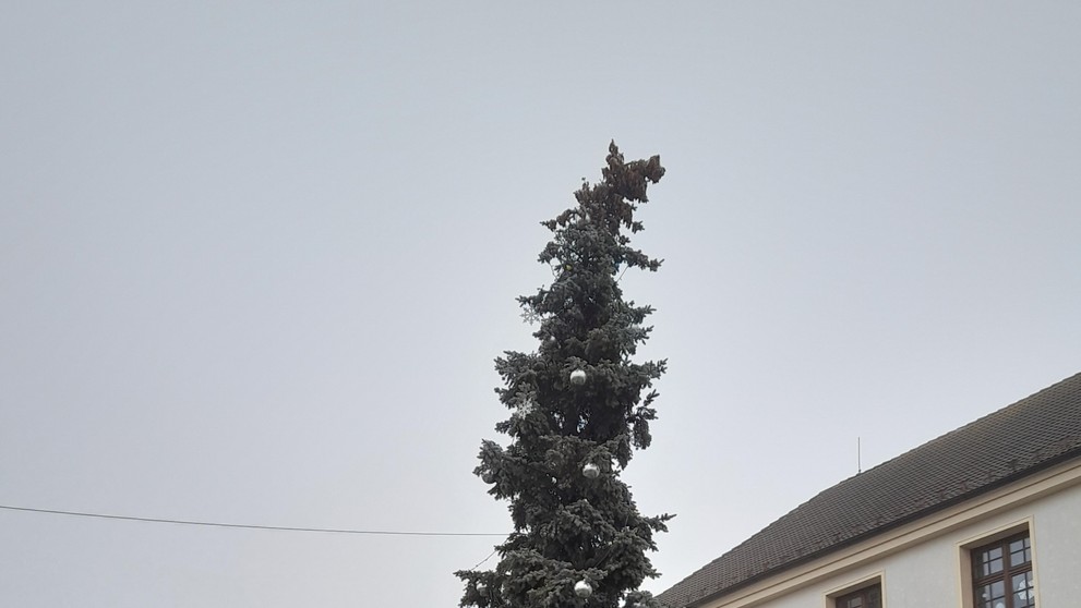 KŘIVÝ VÁNOČNÍ STROM - 3