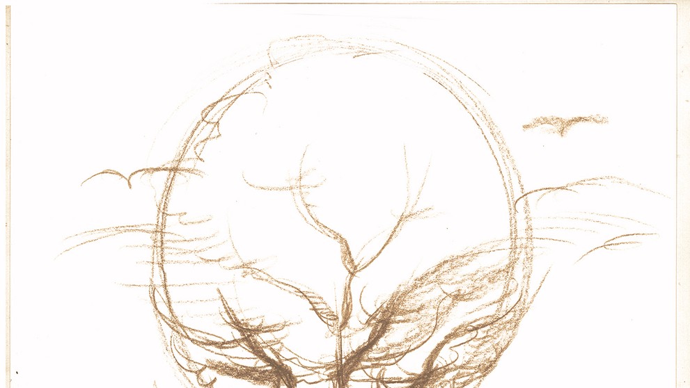 Capsula Mundi - 3