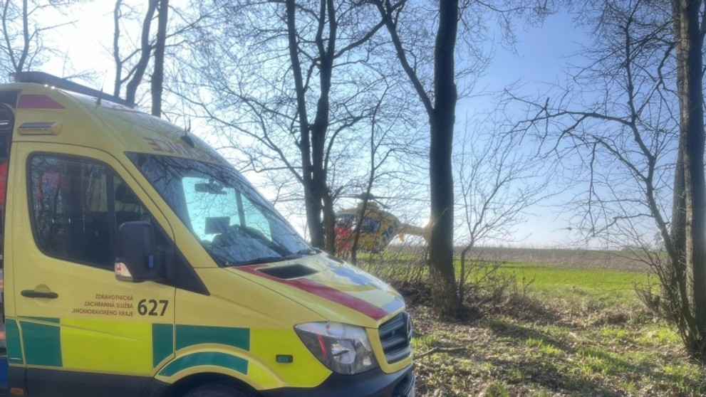 Na mladého muže spadl strom (1)
