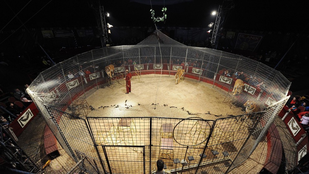 Zákulisí představení cirkusu - 26