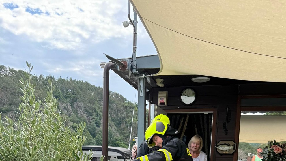 Had v hausbótu Heleny Vondráčkové (4)