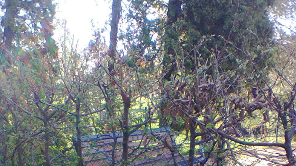 Porušování pravidel v Brně - 3