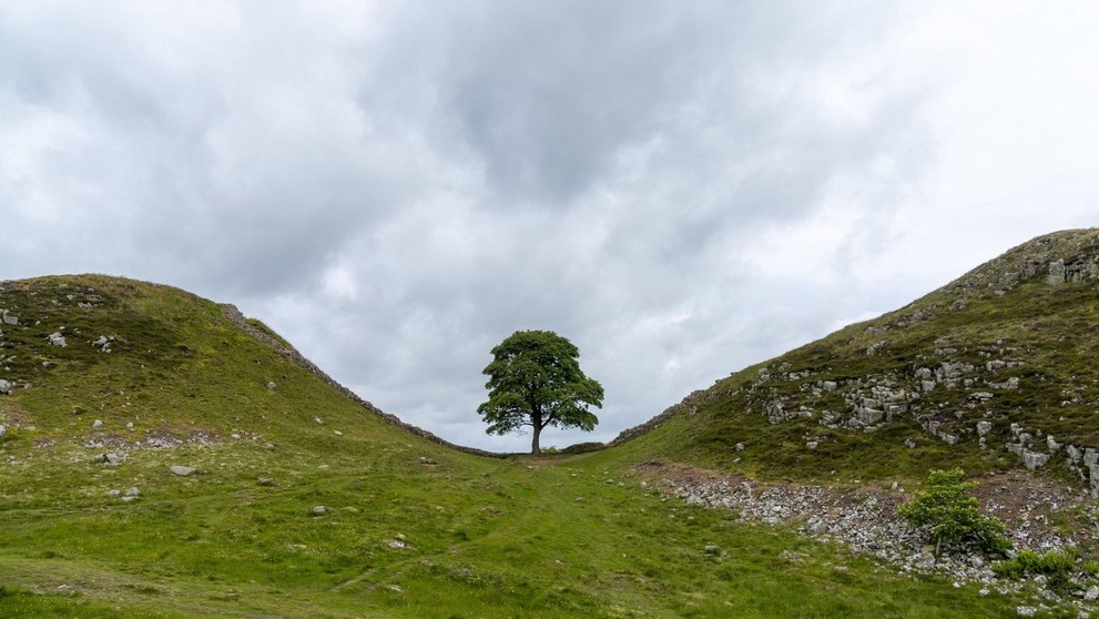 Sycamore Gap