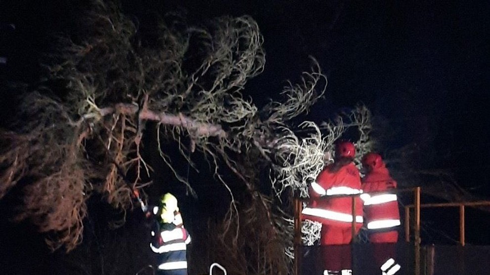 Vítr: Padlý strom na trať