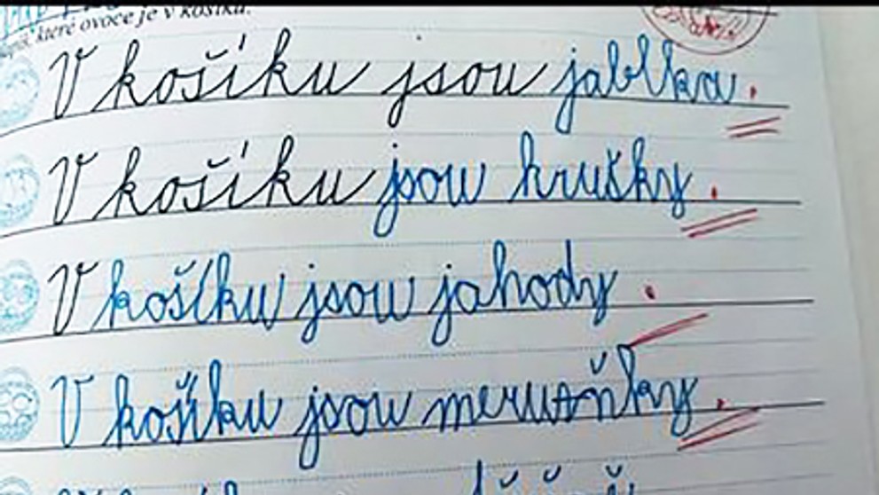 Známkování studentů 1.stupně ZŠ (3)