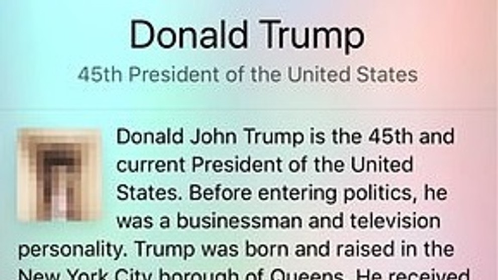 Místo Trumpa ukazovala Wikipedie penis - 1