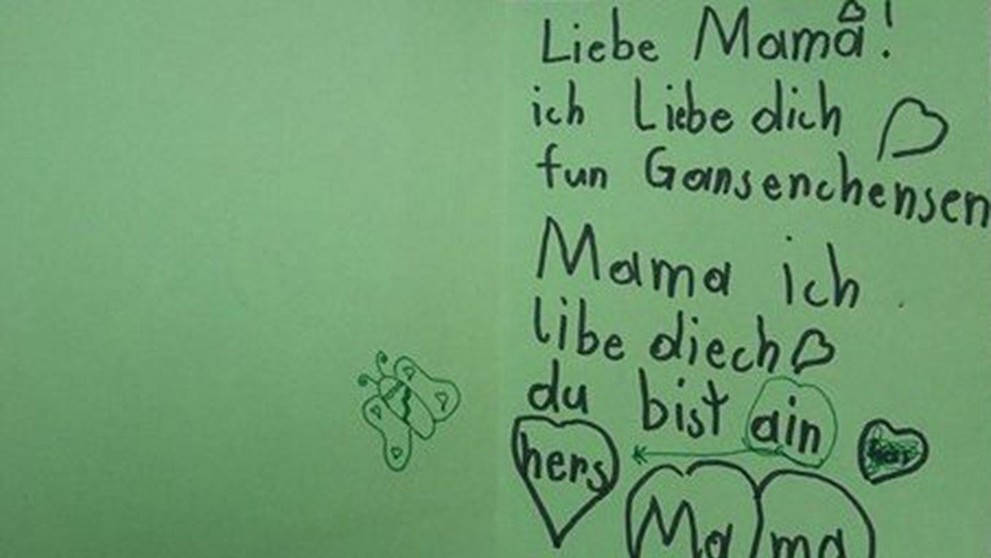 Vražda sedmileté dívky ve Vídni - 2