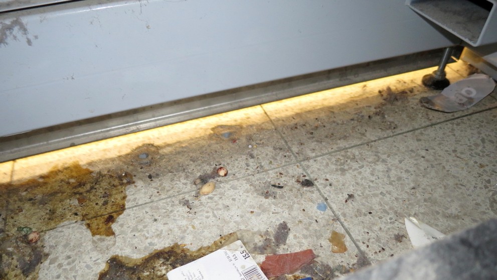 Potravinářská inspekce zavřela Tesco v Aši kvůli myšímu trusu - 6