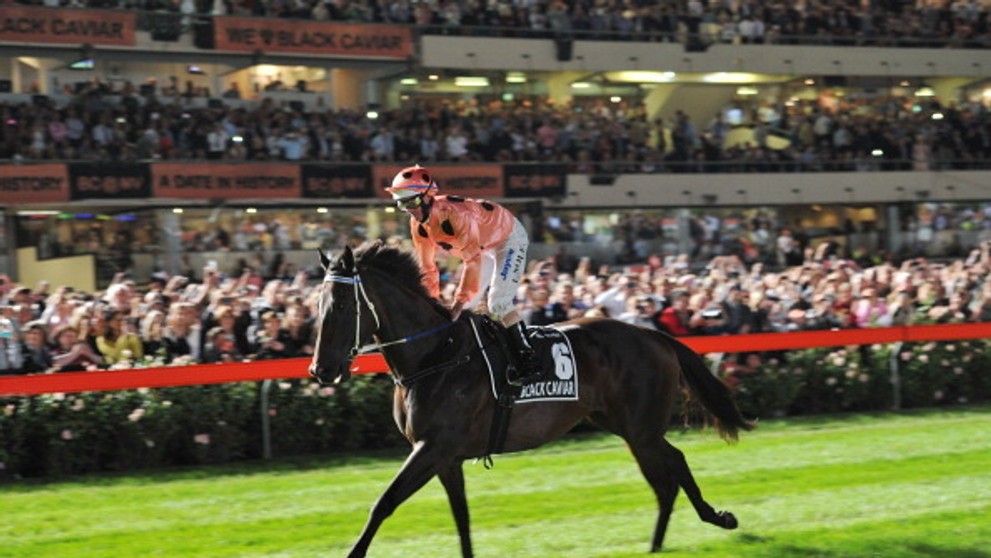 Black Caviar - 3
