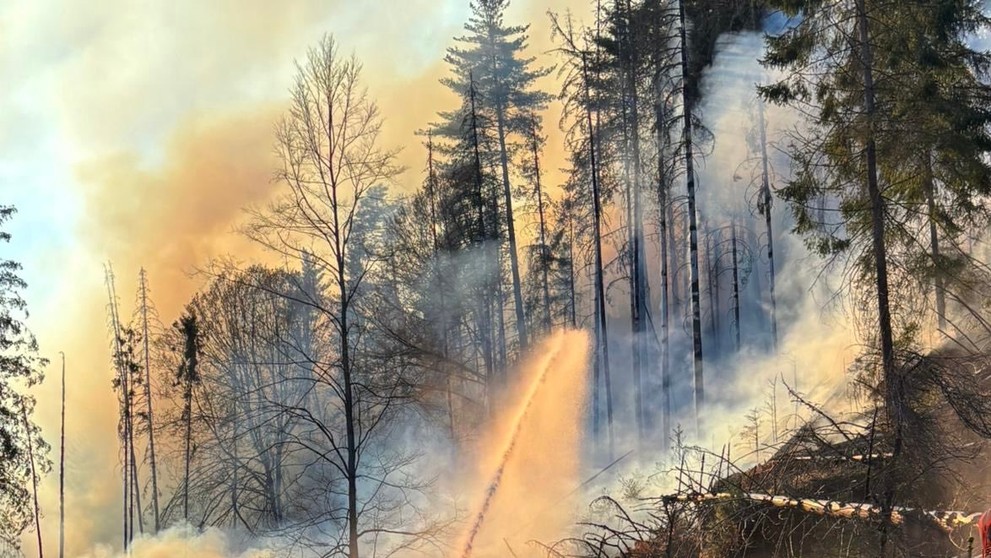 Požár v Českém Švýcarsku (2. 5. 2026)