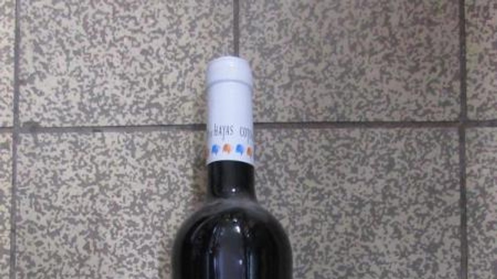 COTO DE HAYAS GARNACHA Syrah RED, Červené víno (2)