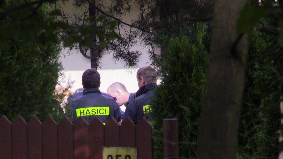 Muže ve Svojeticích zavalila fůra dřeva