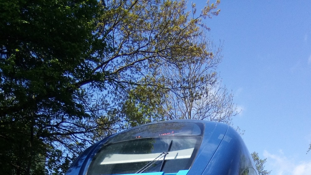 Srážka vlaku s autem - 4