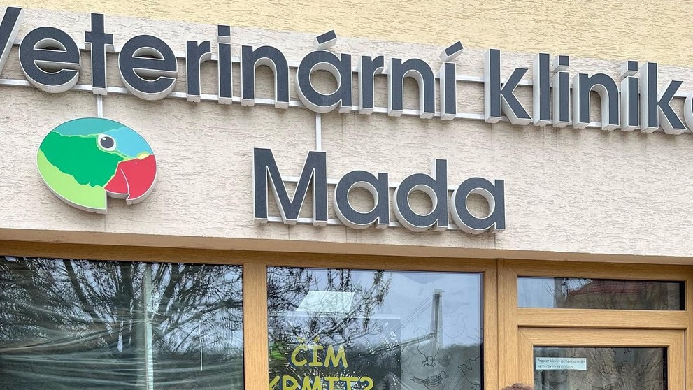 Na jihu Čech našli čápa chyceného do želez