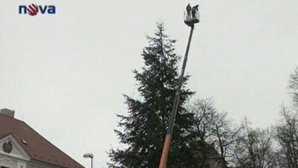 Nejvyšší vánoční strom v Česku