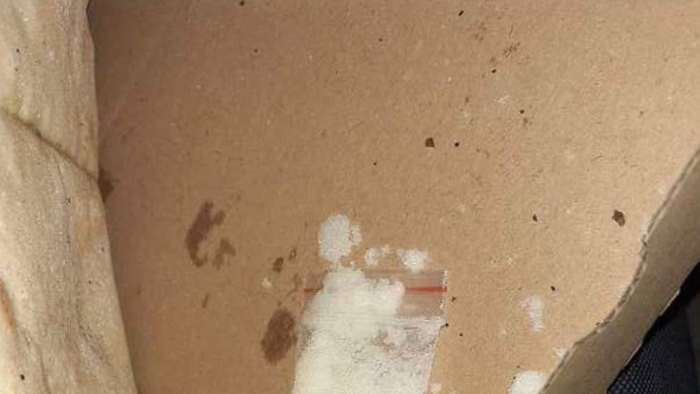 Nález celníků při kontrole kurýra s pizzou