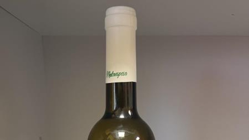 Viňa Mercedes Sauvignon blanc 2023 (1)