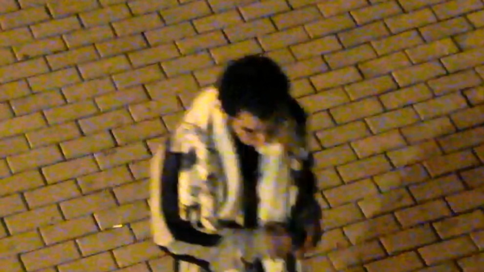 Agresor, který napadl nezletilou dívku u Sokolova - 1
