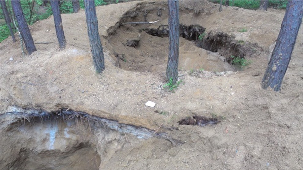Rozkopaný les - 2