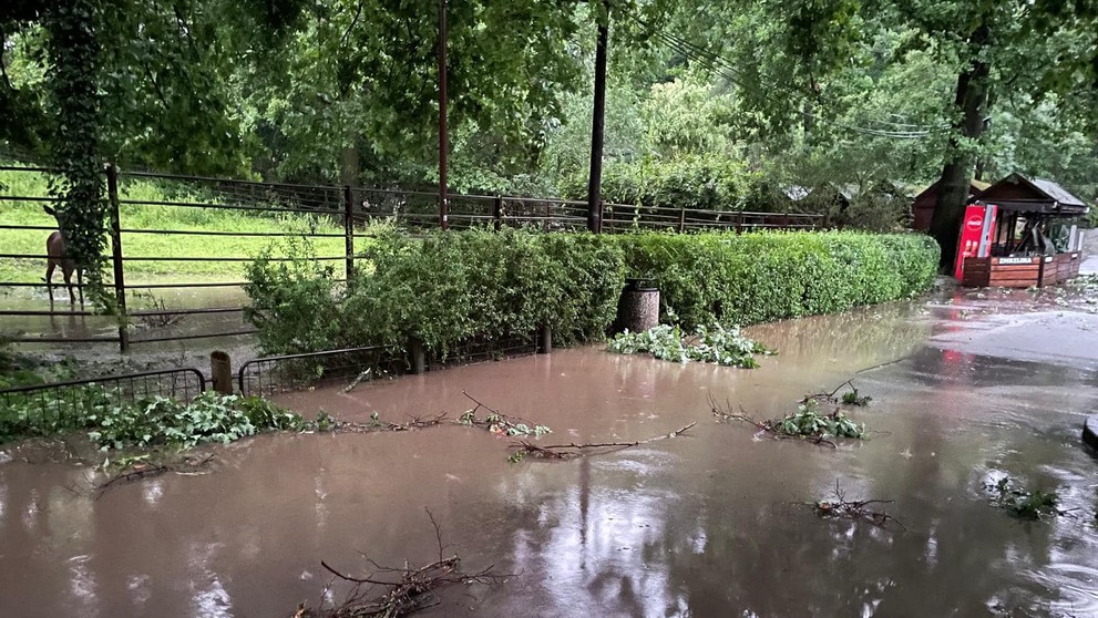 Spoušť v ostravské zoo