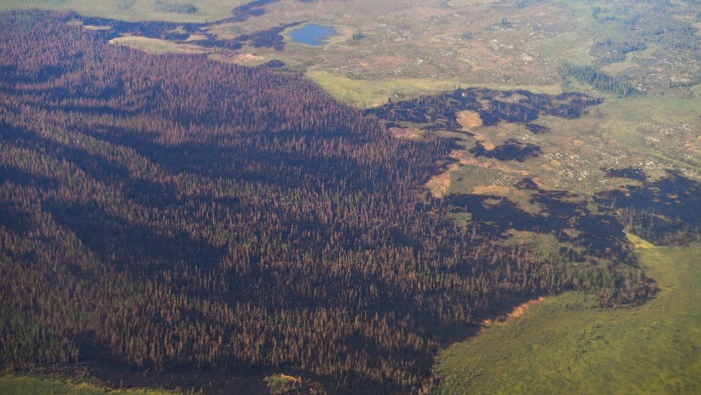 Ničivé požáry na Sibiři - 1