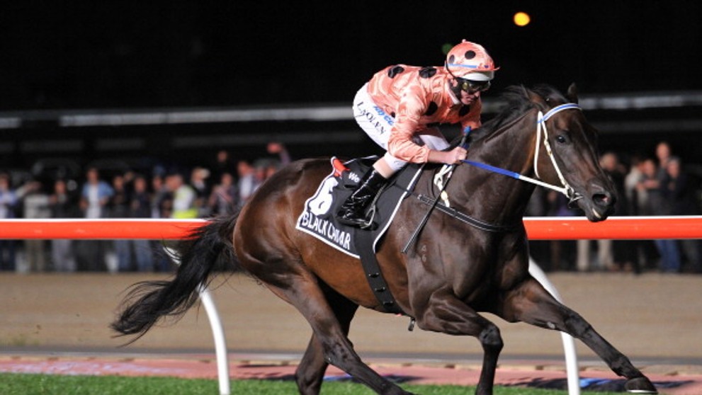Black Caviar - 8