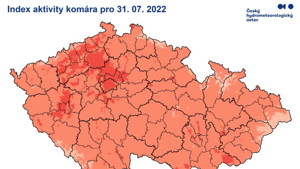 Aktivita komárů