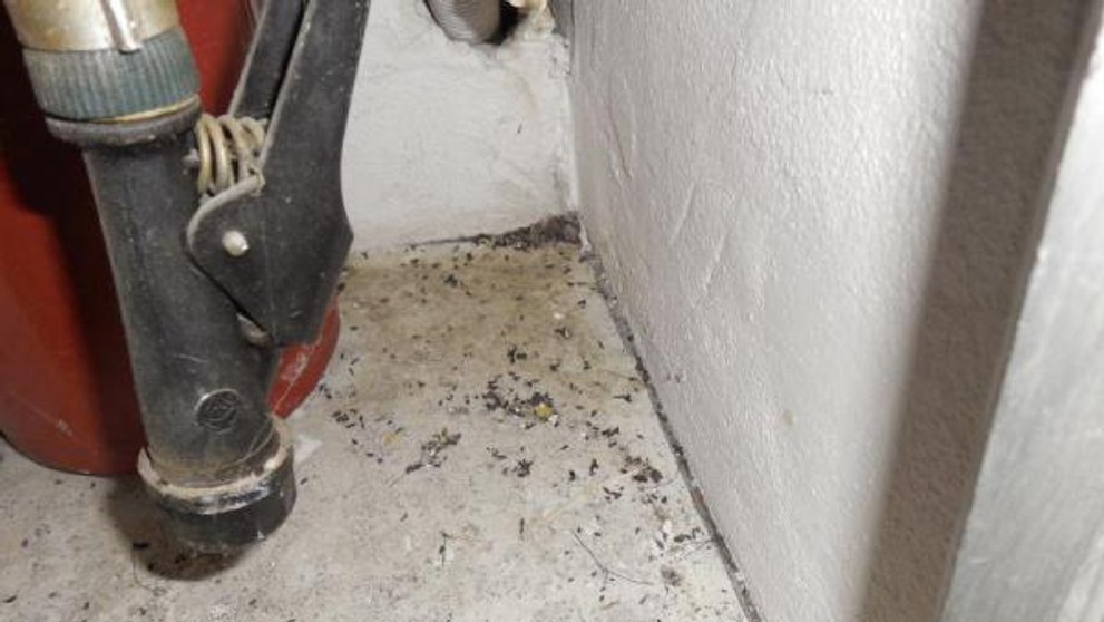 SZPI uzavřela další restauraci a hernu - 3