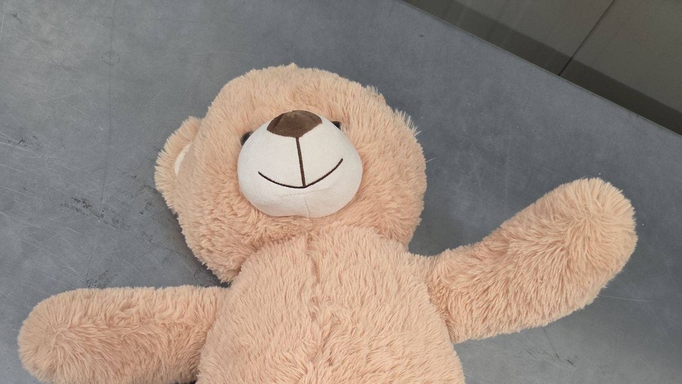 Medvídek plný peněz