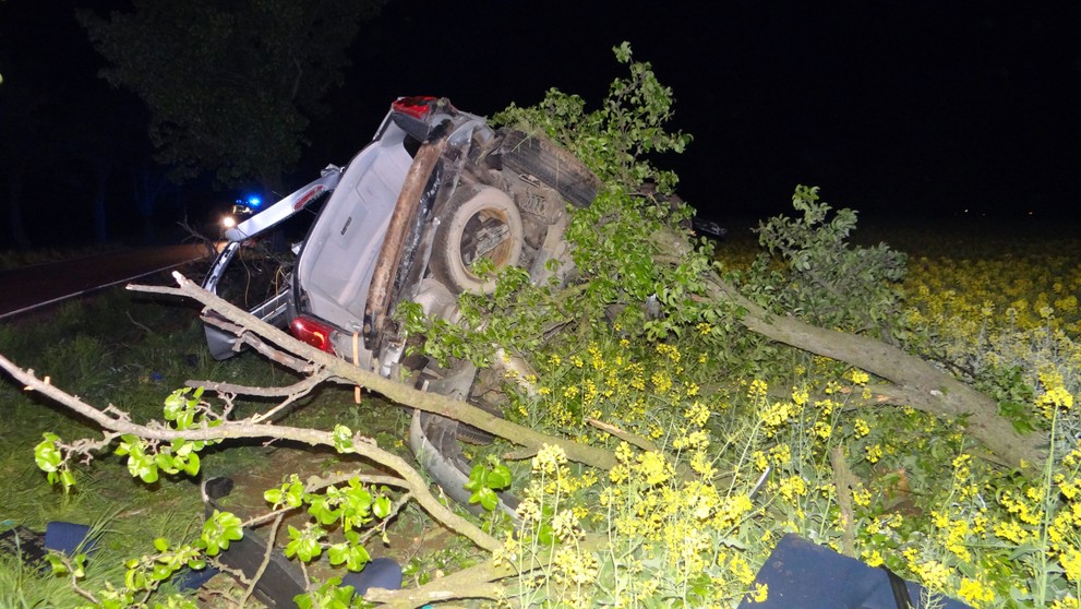 Auto přerazilo strom a skoro se rozlomilo