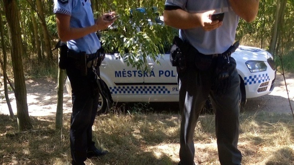 V Plzni se pohybovala nahá žena - 1