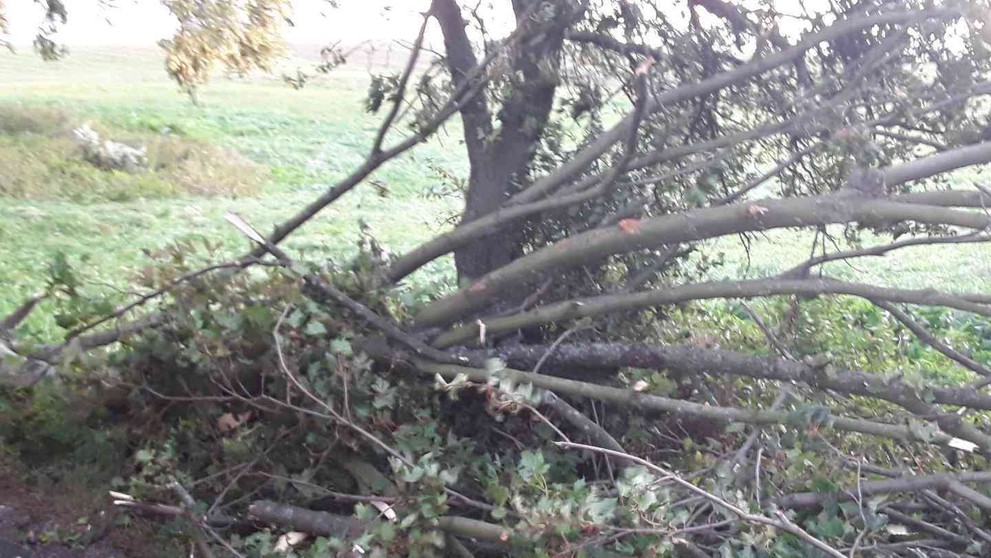 Silný vítr na Vysočině - 5