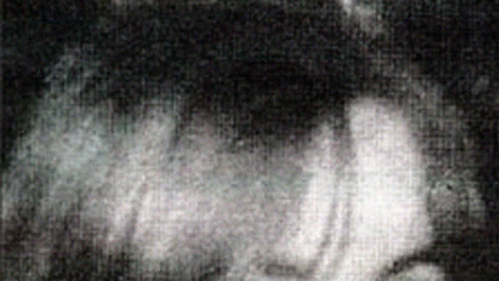 Josef Fritzl, Elisabeth Fritzl