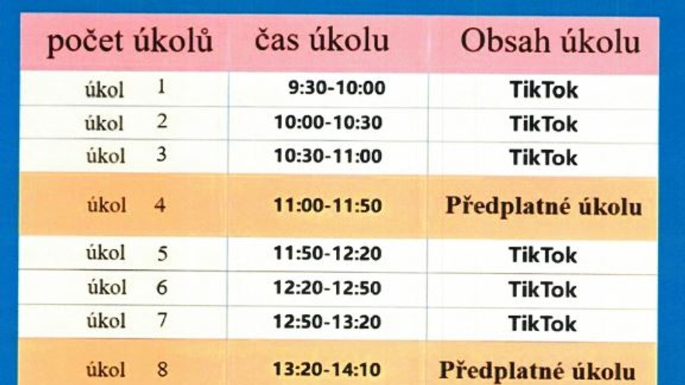 Internetový podvod (2)