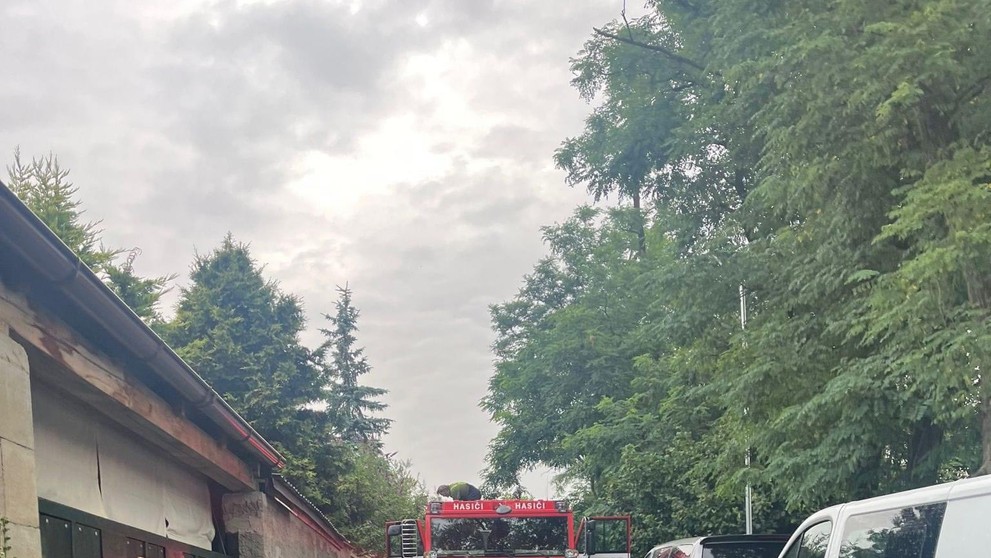 Dopravní nehoda vlaku (2)
