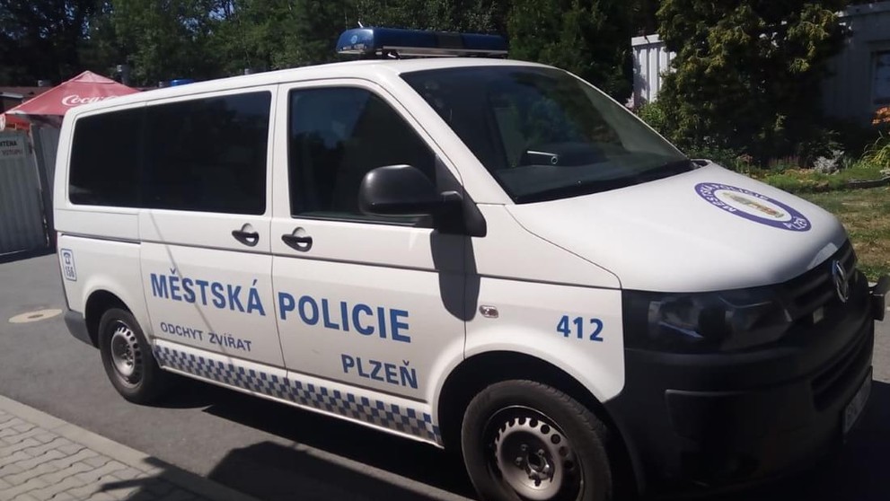 Psa měl někdo vyhodit z okna - 5